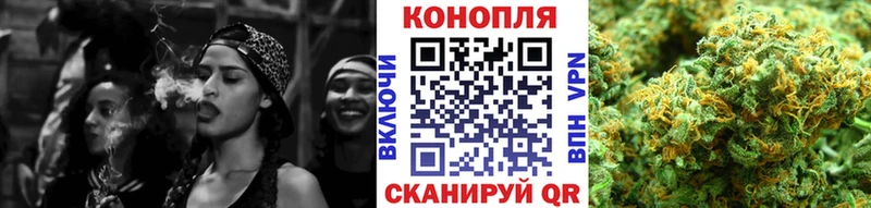 Марихуана план  как найти   Екатеринбург 